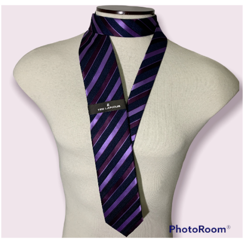 Corbata Formal Azul y Morado Ted Lapidus