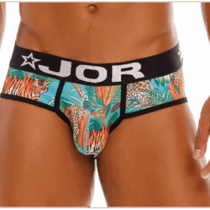 JOR Indie Brief