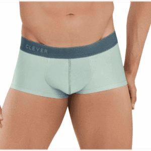 Clever Boxer Obwalden Verde