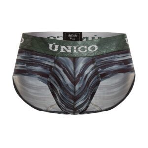 Brief Lienzo
