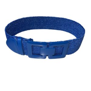 Cinturón Azul con Hebilla Metálica