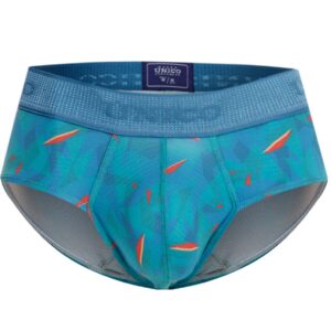 Brief Efige